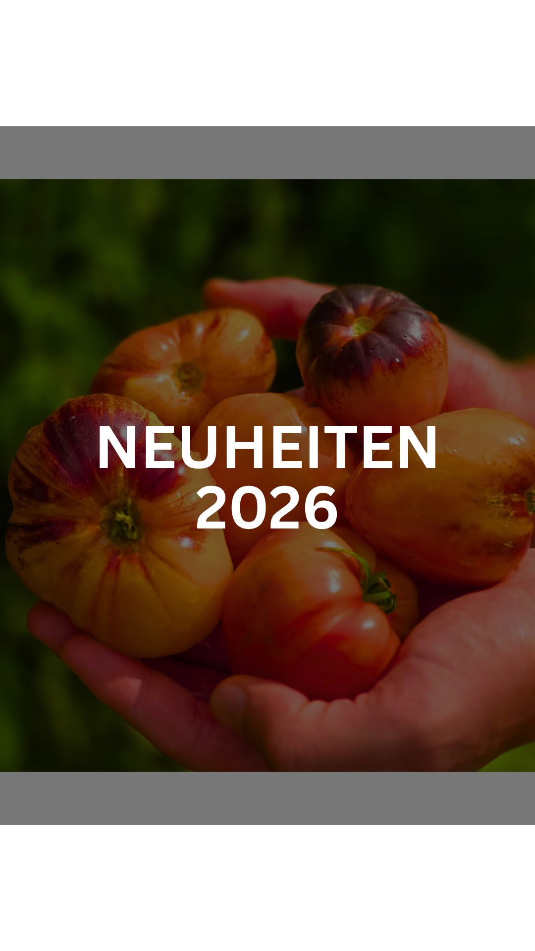 Neuheiten 2026