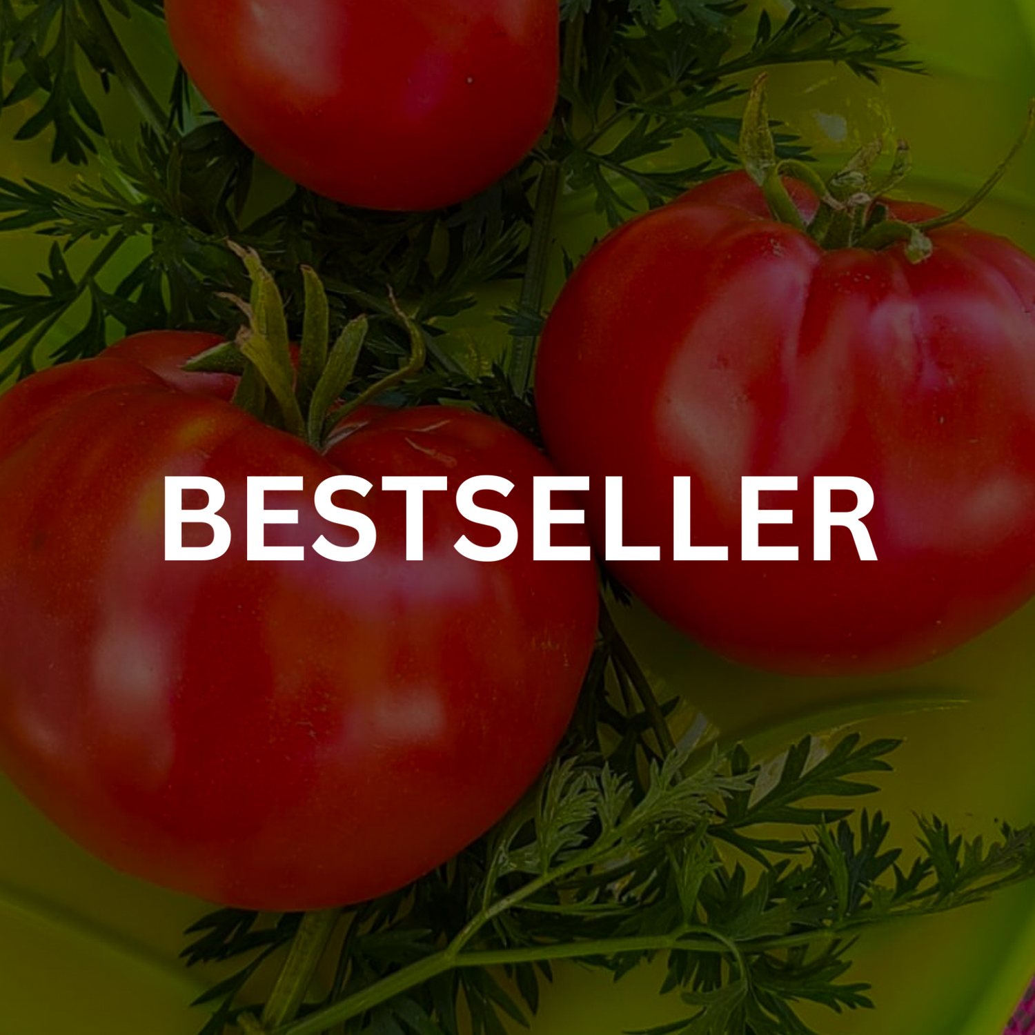 Bestseller
