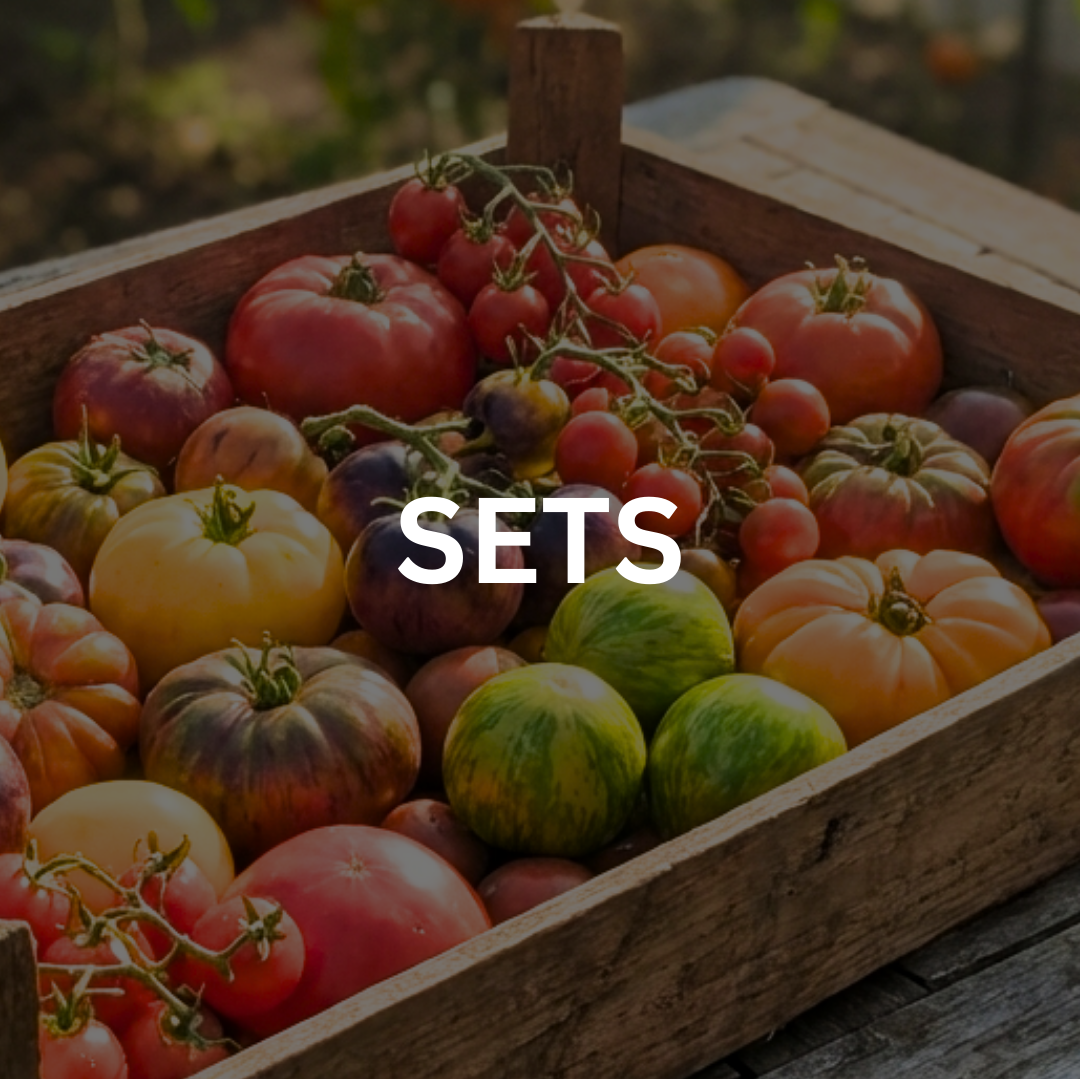 Tomatensamen-Sets
