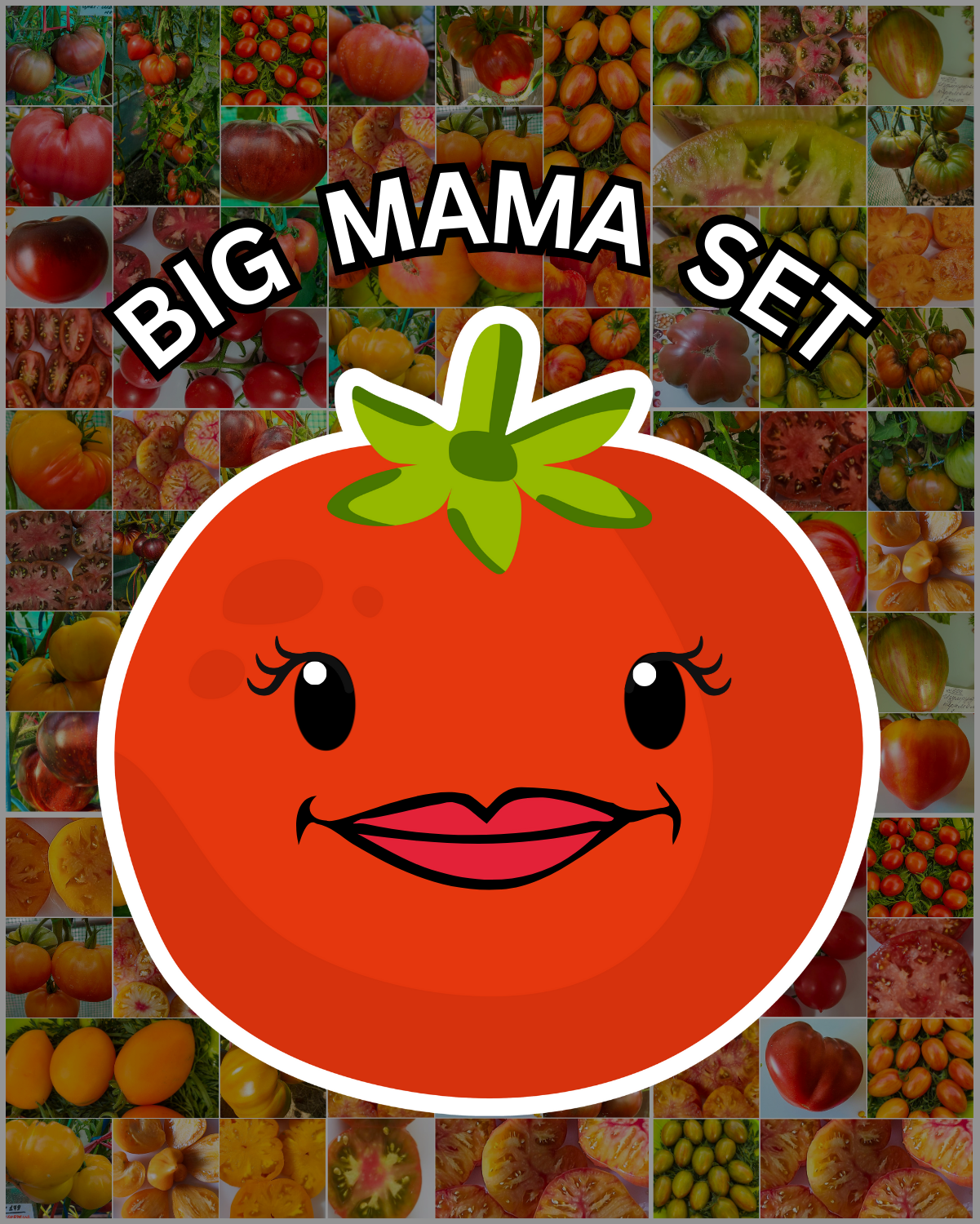 Vorteilspack N5010: Big Mama Pack - 50 Sorten/250 Tomatensamen