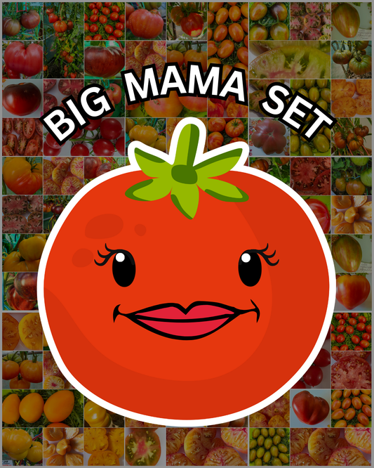 Vorteilspack N5010: Big Mama Pack - 50 Sorten/250 Tomatensamen