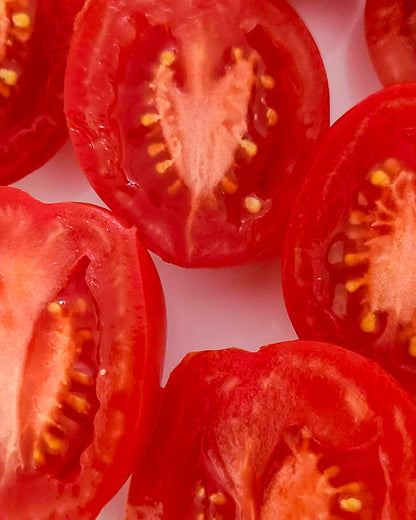 N0472: Almaty Tulip Red - Алматинский Тюльпан Красный - Alma Ata Tulpe Rot