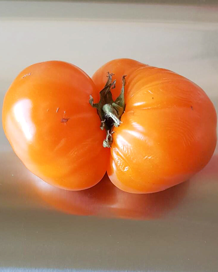 N0026: Beef Orange Heart - Бычье сердце оранжевое - Orangenes Herz