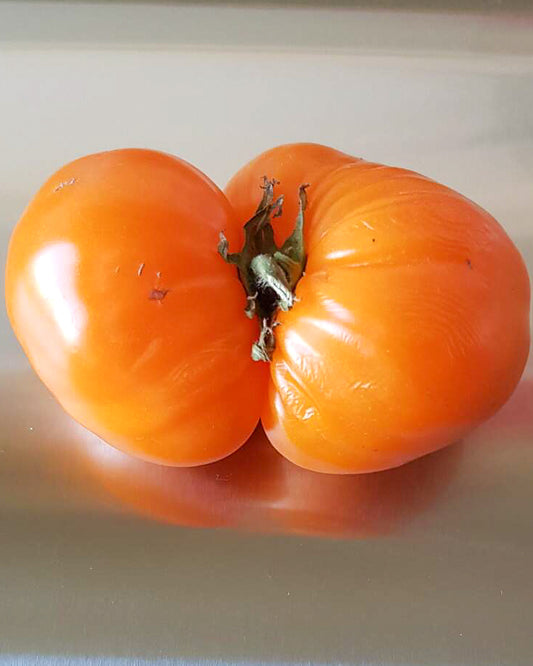 N0026: Beef Orange Heart - Бычье сердце оранжевое - Orangenes Herz