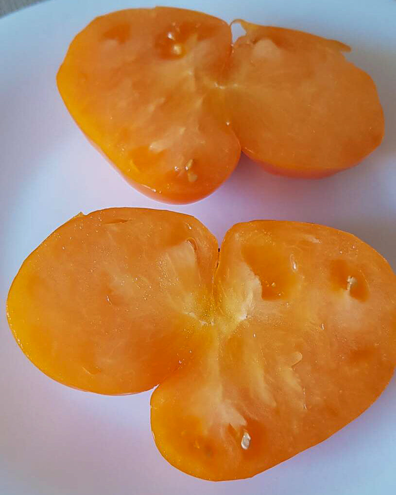 N0026: Beef Orange Heart - Бычье сердце оранжевое - Orangenes Herz