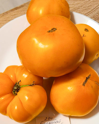 N0294: Big Golden Delicious - Большой Золотой Вкусный - Große Goldene Köstlichkeit