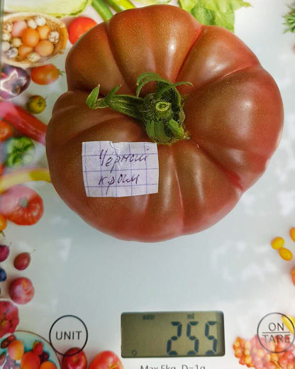 N0087: Black Krim - Чёрный Крым - Schwarze Krim
