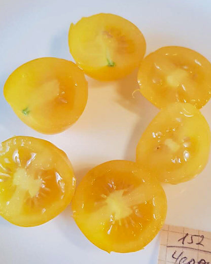 N0152: Cherry Monisto Amber - Черри Монисто Янтарное