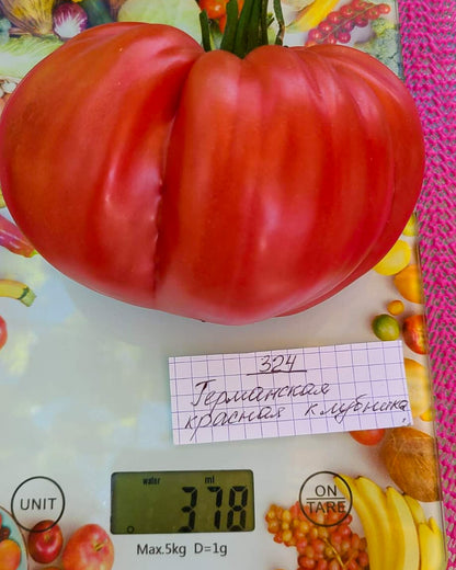 N0324: German Red Strawberry - Германская Красная Клубника - Deutsche Rote Erdbeere
