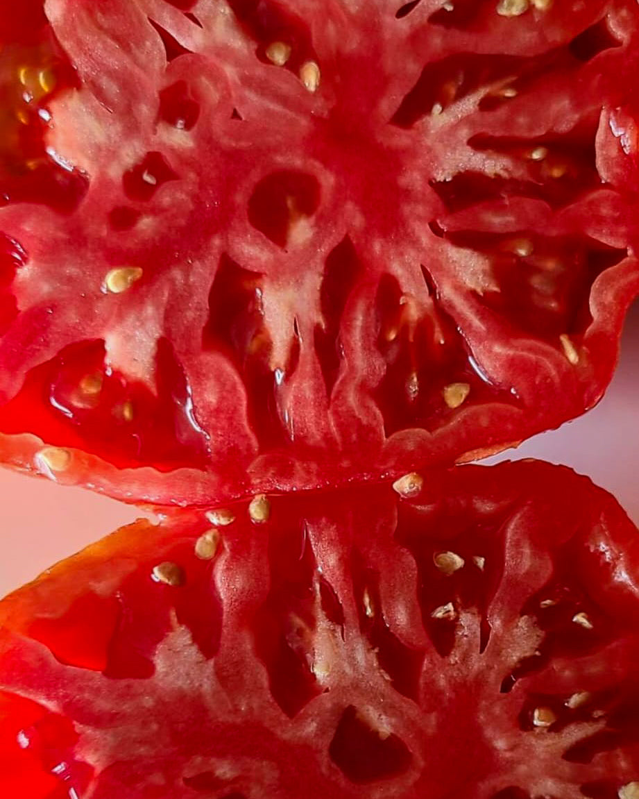 N0351: Giant Red Dragon - Коршун Огромный Красный - Riesiger Roter Drache