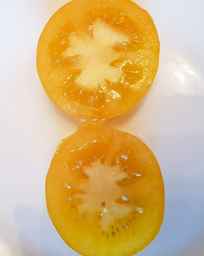 N0063: Golden Queen - Золотая Королева - Goldene Königin