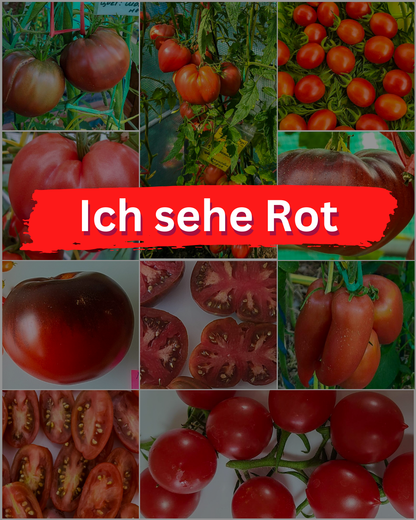 Vorteilspack N5001: Ich sehe Rot - 10 Sorten/100 Tomatensamen