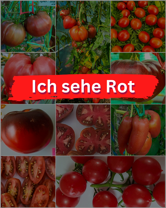 Vorteilspack N5001: Ich sehe Rot - 10 Sorten/100 Tomatensamen