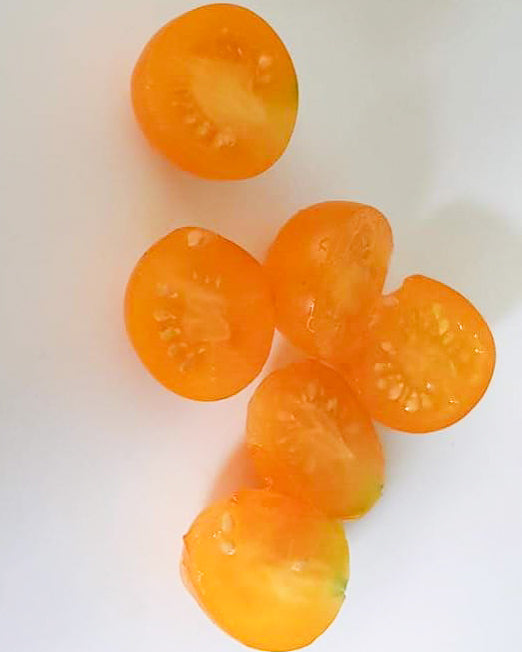 N0061: Ildi Cherry Tomato - Черри Ильди - Tomate Ildi