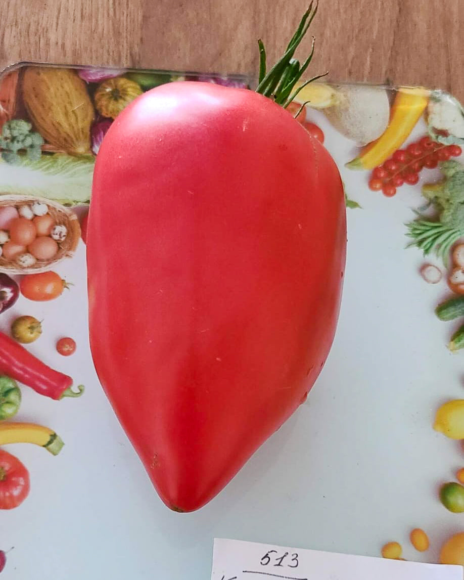 N0513: Korean Long Fruit - Корейский Длинноплодный - Koreanische Langfrucht