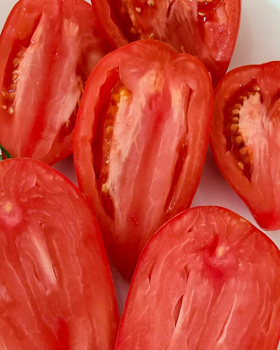 N0513: Korean Long Fruit - Корейский Длинноплодный - Koreanische Langfrucht