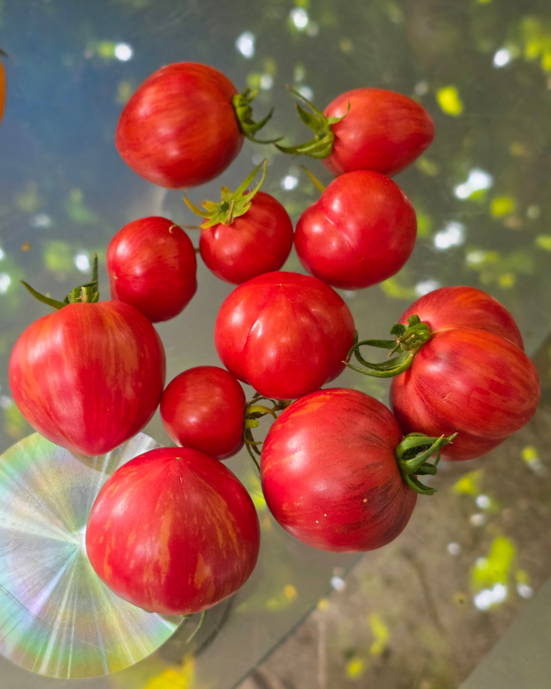 N0818 - Strawberry Waterfall Striped - Клубничный Водопад Полосатый - Gestreifter Erdbeerwasserfall