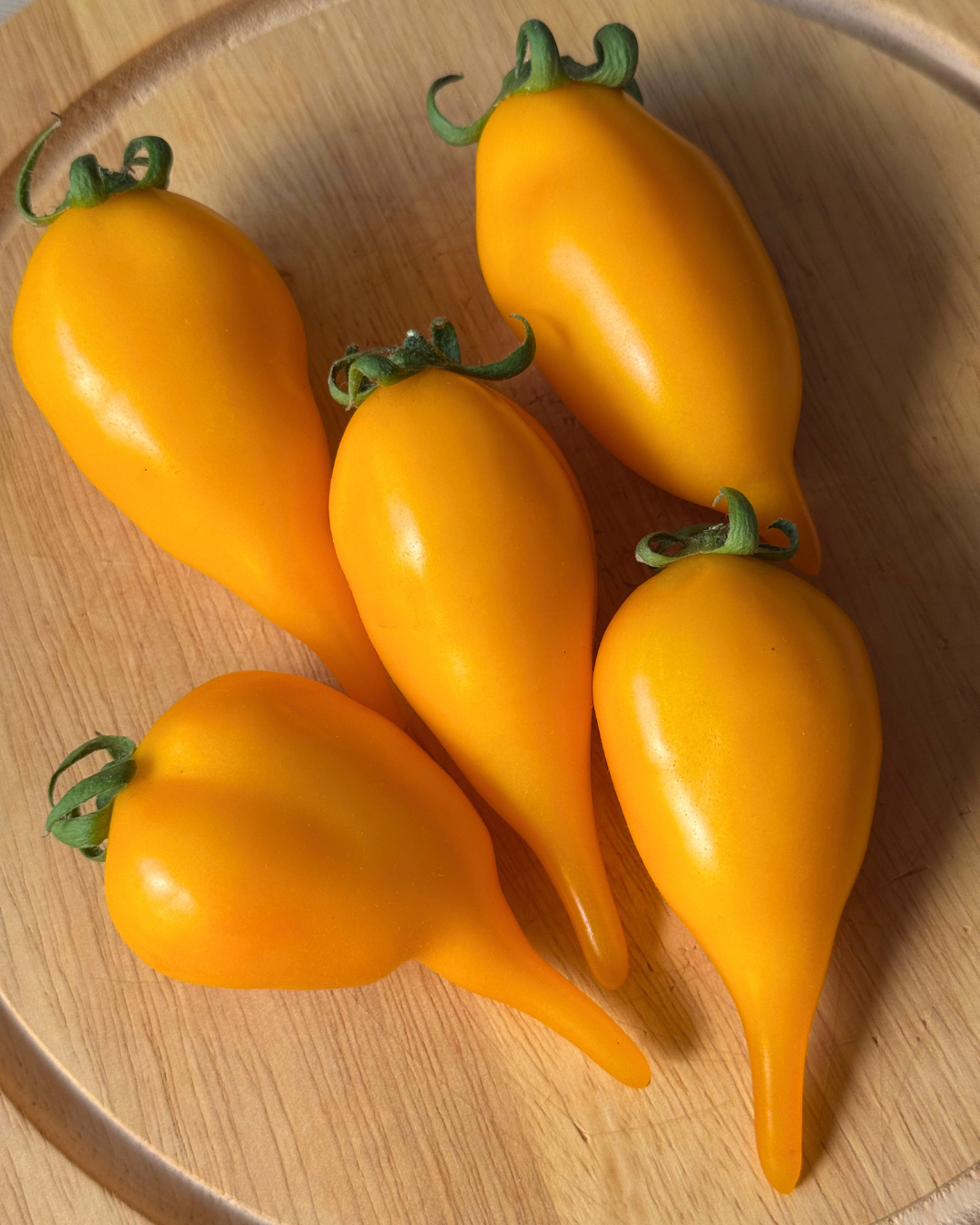 N0851 - Golden Lemon - Золотой лимон - Goldene Zitrone