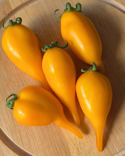 N0851 - Golden Lemon - Золотой лимон - Goldene Zitrone