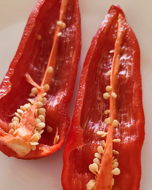 N2010: Spitzpaprika Rot - Spitzpaprika Красная
