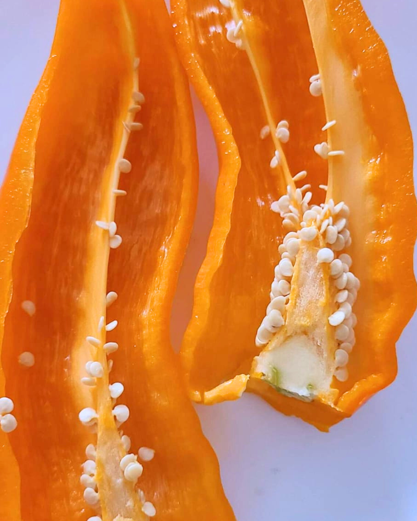 N2011: Spitzpaprika Orange - Spitzpaprika Оранжевая