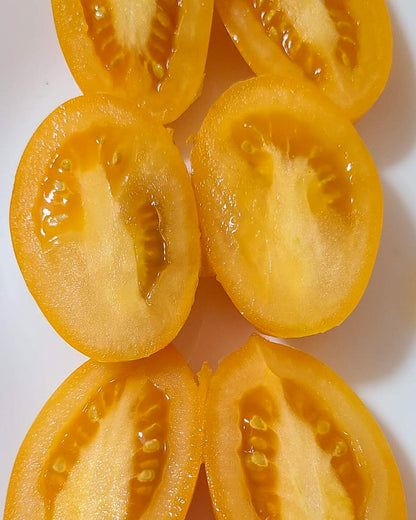 N0551: Orange Caprese - Оранжевый Капрезе