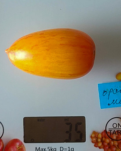 N0112: Orange Dream - Оранжевая Мечта - Orangener Traum