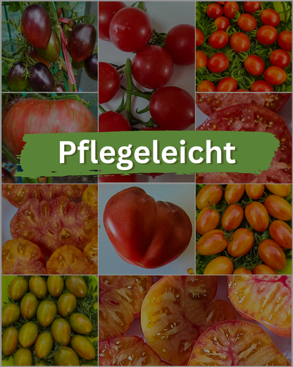 Vorteilspack N5009: Pflegeleichte - 10 Sorten/100 Tomatensamen