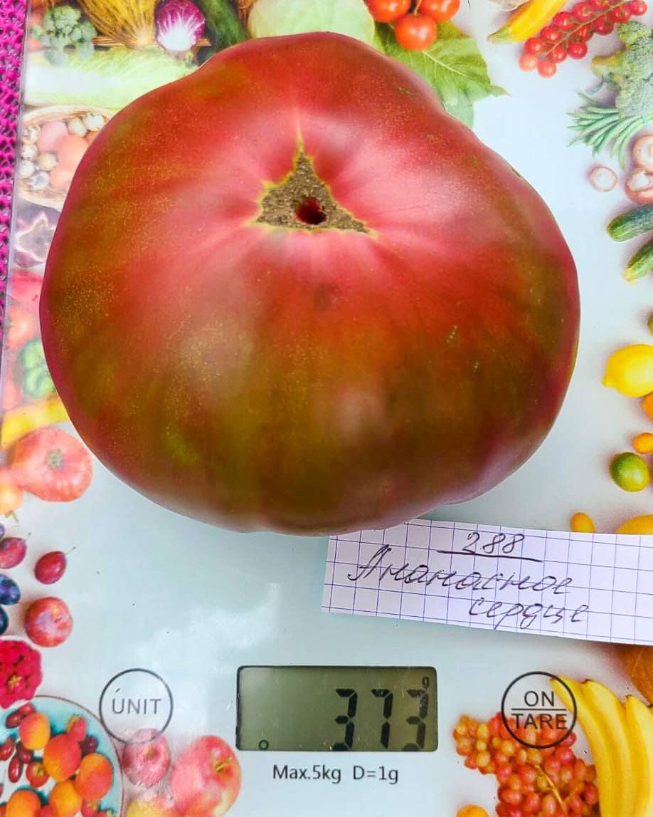 N0288: Pineapple Heart - Ананасное Сердце - Ananas Herz