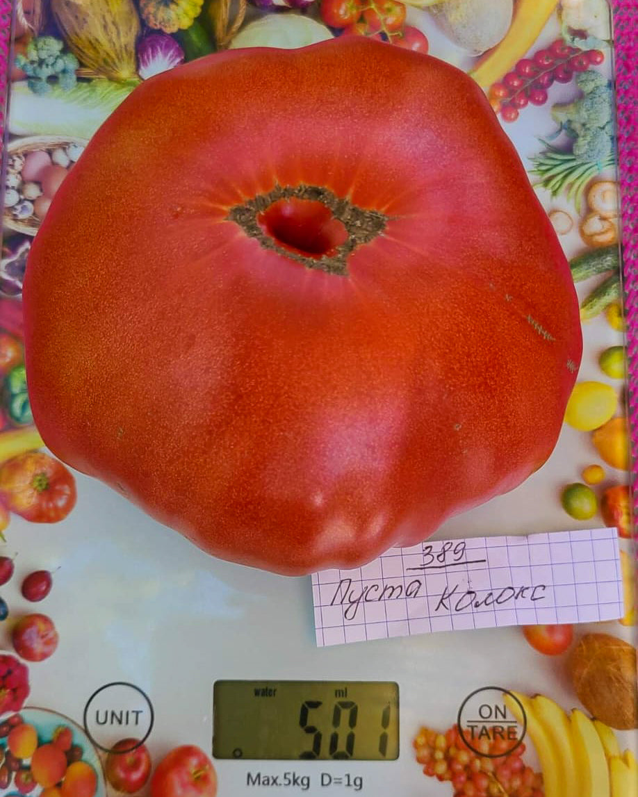 N0389: Puszta Kolozs - Пуста Колокс - Pusta Koloks