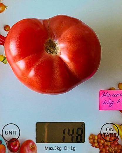 N0028: Raspberry Honey F1 - Малиновый Мёд F1 - Himbeer Honig F1