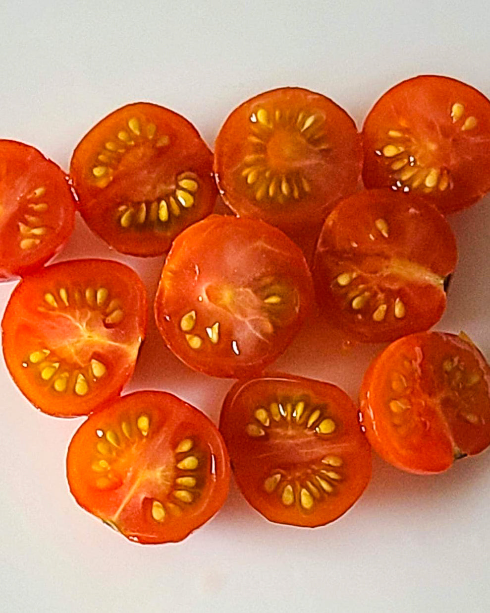 N0253: Red Cherry - Черри Вишенка Красная - Rote Kirschen