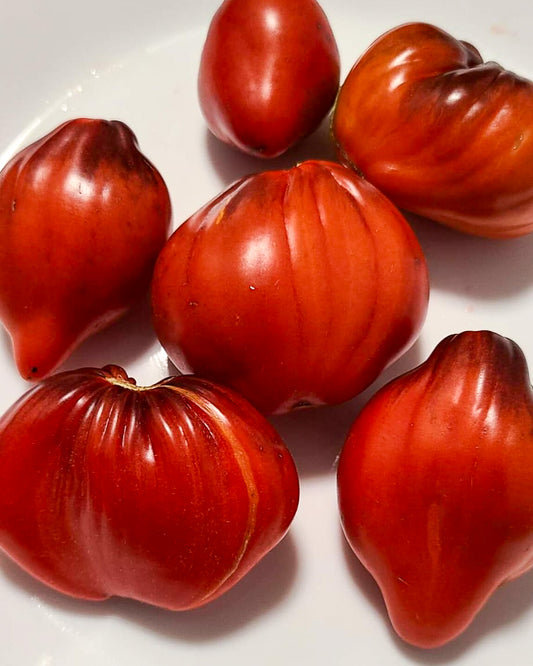 N0666: Sergant Peppers Himbeernasen - Малиновые Носики Сержанта Пеппера