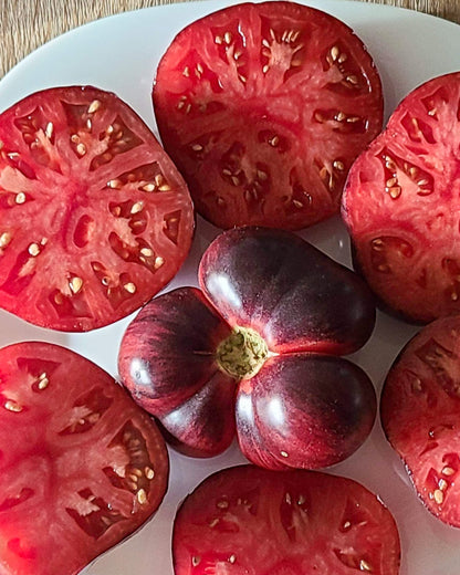 N0148: Sibirian Panther - Сибирская Пантера - Sibirischer Panter