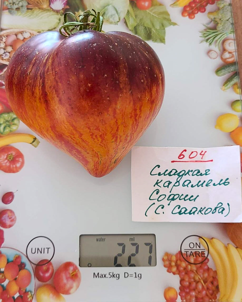 N0604: Sofias Süßes Karamell - Сладкая Карамель Софии - Sofia's Sweet Caramel