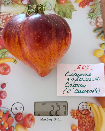 N0604: Sofias Süßes Karamell - Сладкая Карамель Софии - Sofia's Sweet Caramel