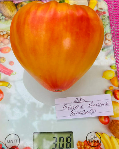 N0283: White Cherry - Белая Вишня - Weiße Kirsche