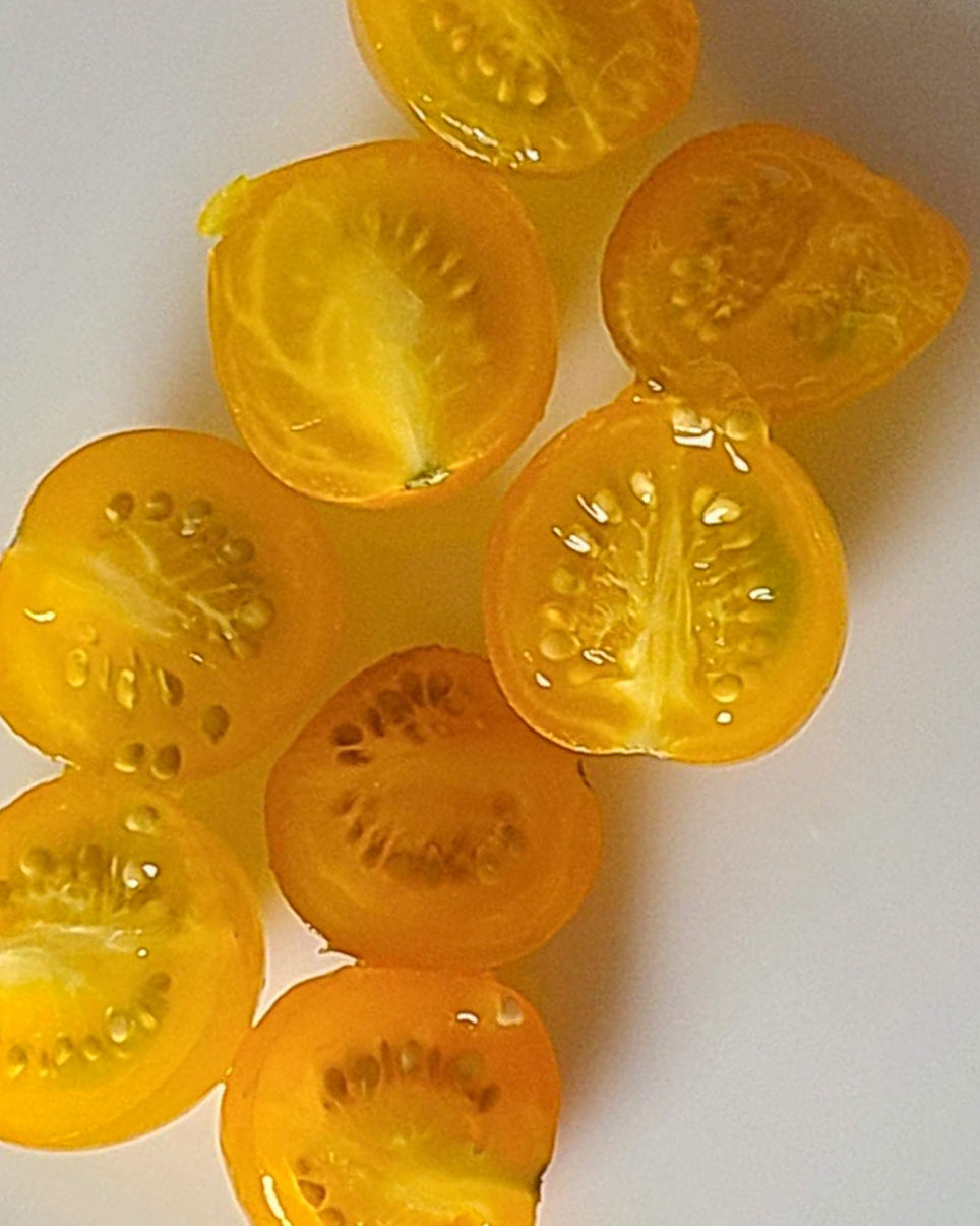 N0254: Yellow Cherry - Черри Вишенка Жёлтая - Gelbe Kirschen