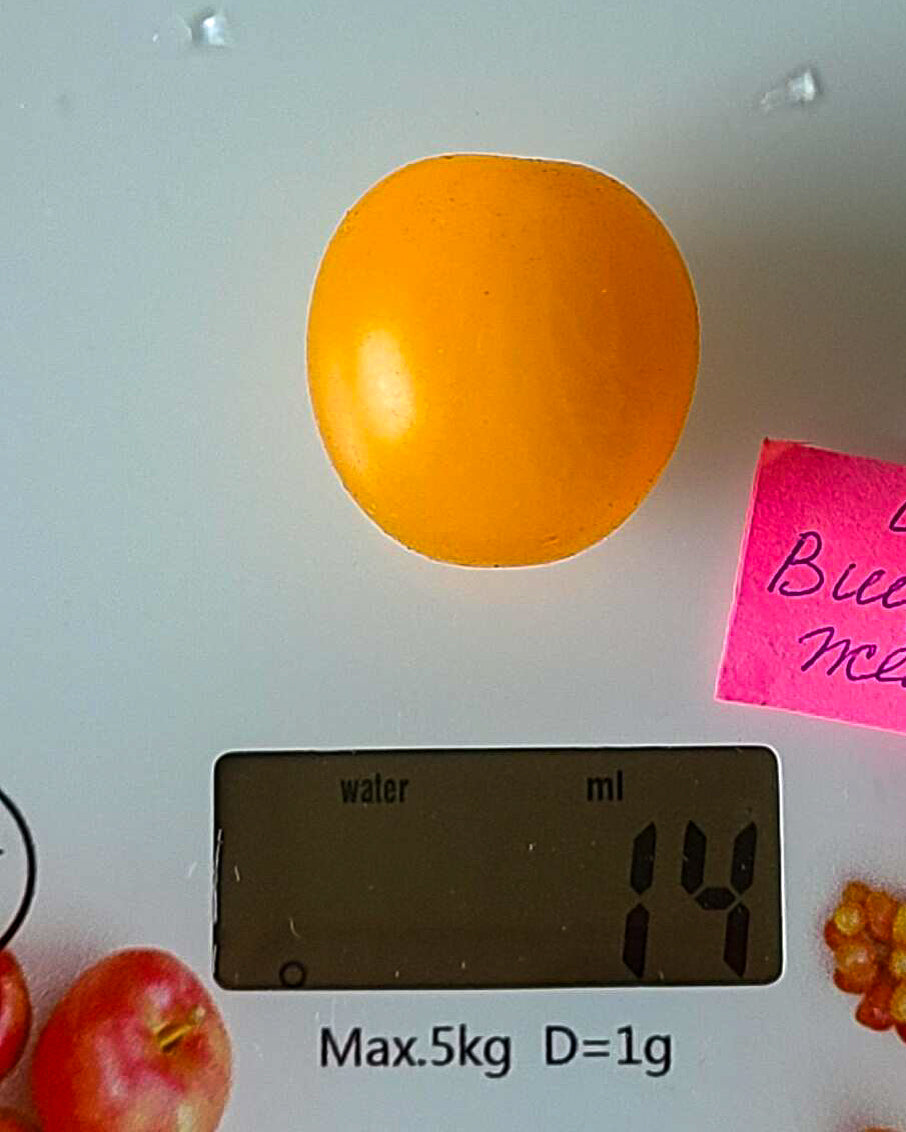 N0254: Yellow Cherry - Черри Вишенка Жёлтая - Gelbe Kirschen