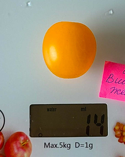 N0254: Yellow Cherry - Черри Вишенка Жёлтая - Gelbe Kirschen